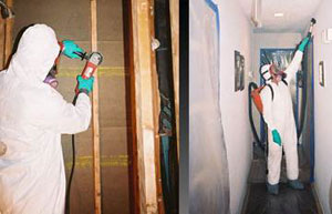 mold remediation San Francisco